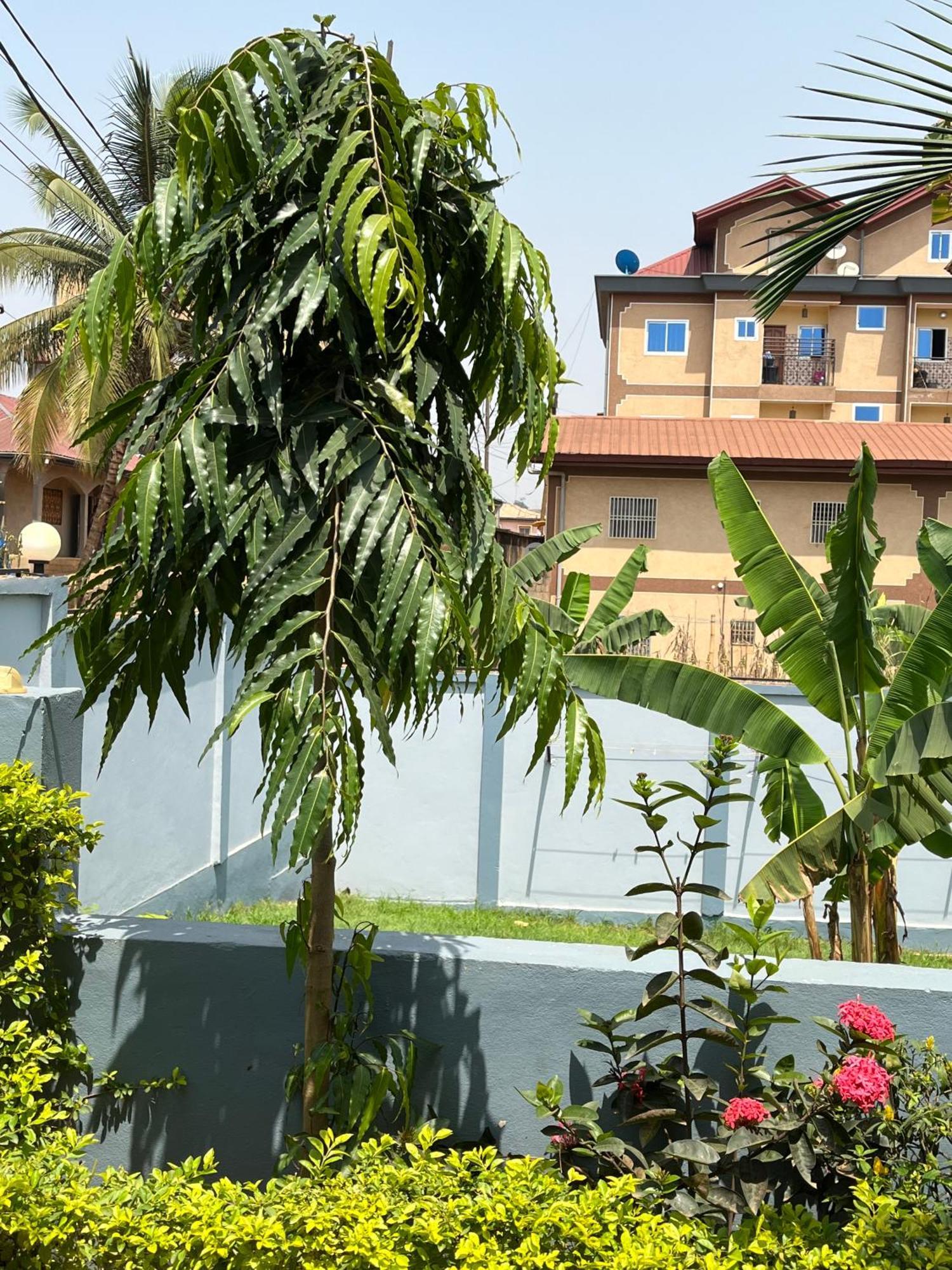 Afan Yaounde Lodge Yaoundé Exterior foto